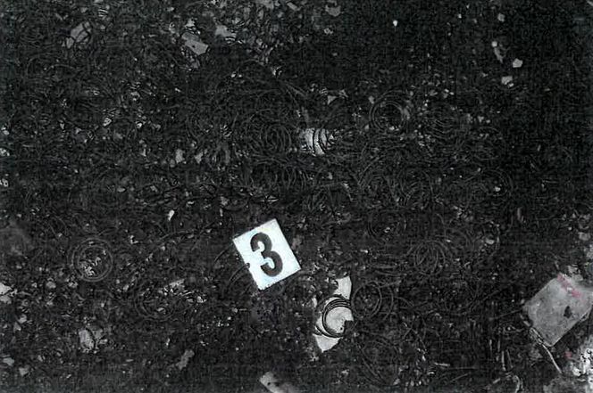 Makabra na Nowym Świecie! 33-latek spalił żywcem kobietę! "Rozpaliłem grilla..."