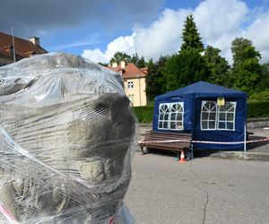 Renowacja koszalińskich lwów