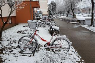 Dziś (19.03.) ostatni dzień zimy. Jutro (20.03.) początek astronomicznej wiosny