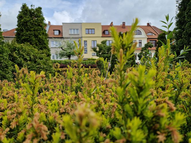 Sielanka, czyli zielona perła Bydgoszczy, o której mało kto pamięta!