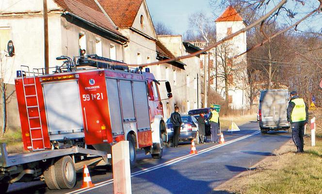 Pijana sędzia wjechała w drzewo