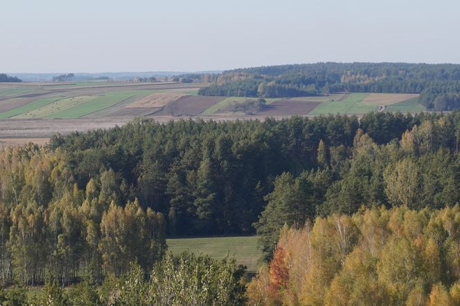 Wieża widokowa w Uhowie