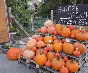 Wszystko prosto od rolnika i gospodyni spod samego gospodarstwa. Ludzie pokochali samoobsługowy warzywniak