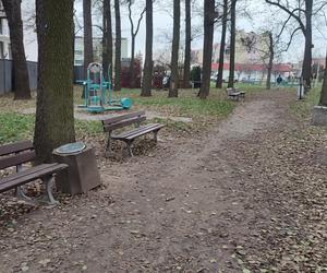 Park przy ulicy Gronowskiej w Lesznie