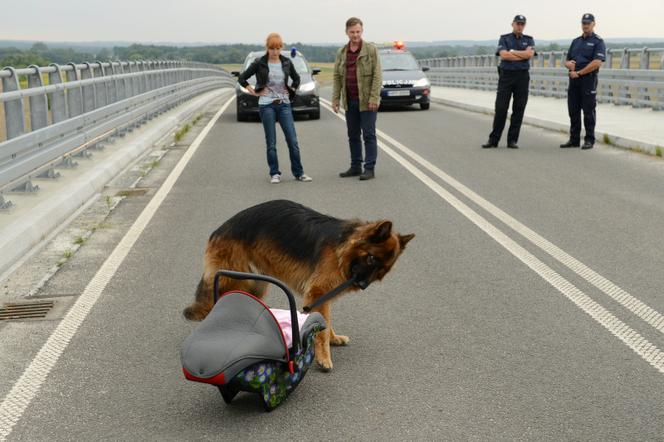 Komisarz Alex 4 sezon odcinek 47 (odc. 8). Lucyna (Magdalena Walach), Ryszard Puchała (Ireneusz Czop)