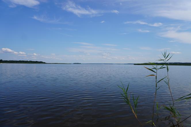 Podlaska Atlantyda, czyli Zalew Siemianówka i okolice