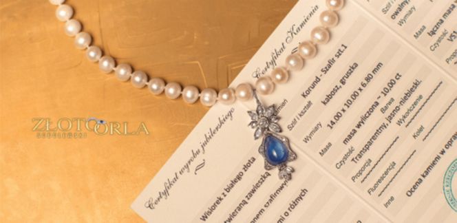 Mineral Expo w Pałacu Kultury ze szkieletem ichtiozaura