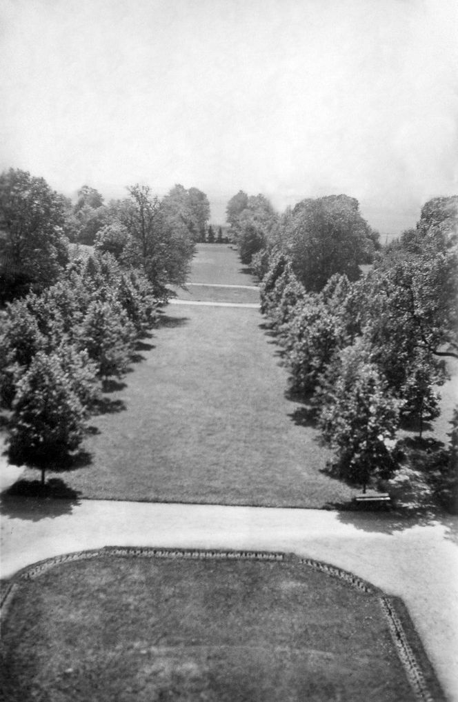 Pałac Sobańskich - aleja w parku - przed 1939 r.