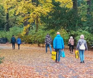 Przygotowania do 1 listopada na Cmentarzu Centralnym w Szczecinie