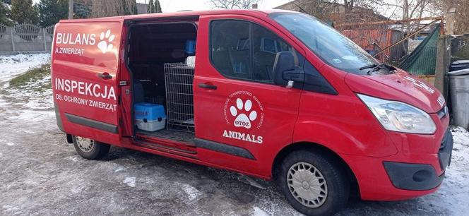 Pies uratowany przez policjantów z Tczewa