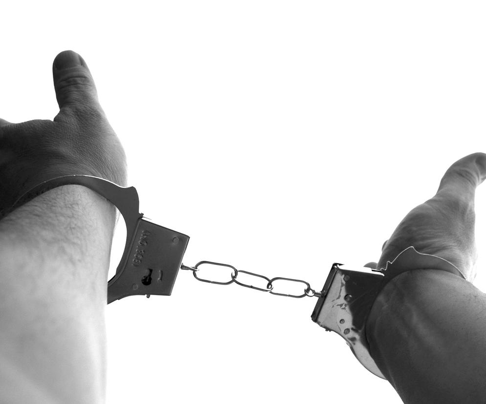 Bielsko-Biała: Policja zatrzymała nieuchwytnego od listopada złodzieja. Jego wspólnik wpadł już wcześniej