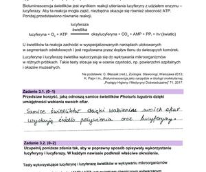 Matura 2024: biologia rozszerzona. Odpowiedzi, arkusze CKE do pobrania [STARA I NOWA FORMUŁA 14.05.2024]