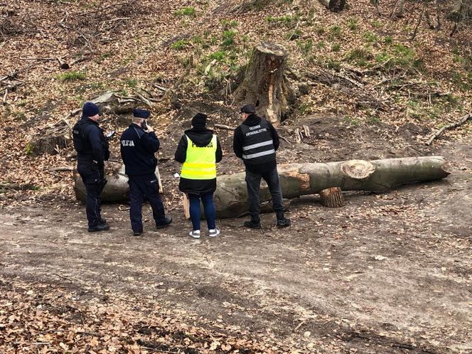 Konar drzewa przygniótł troje małych dzieci. Trwa akcja strażaków