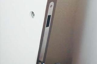 Drzwi z zamkiem magnetycznym
