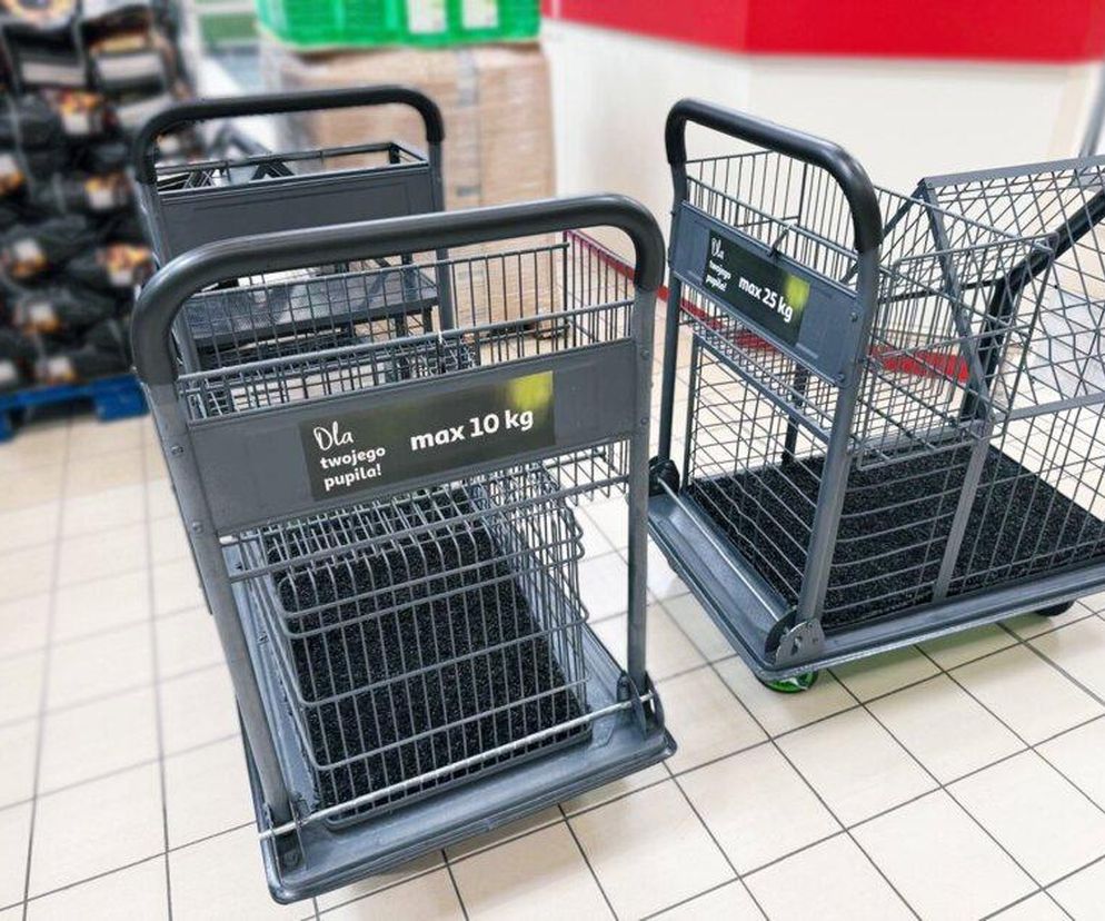 Wózki dla psów w sklepach Auchan