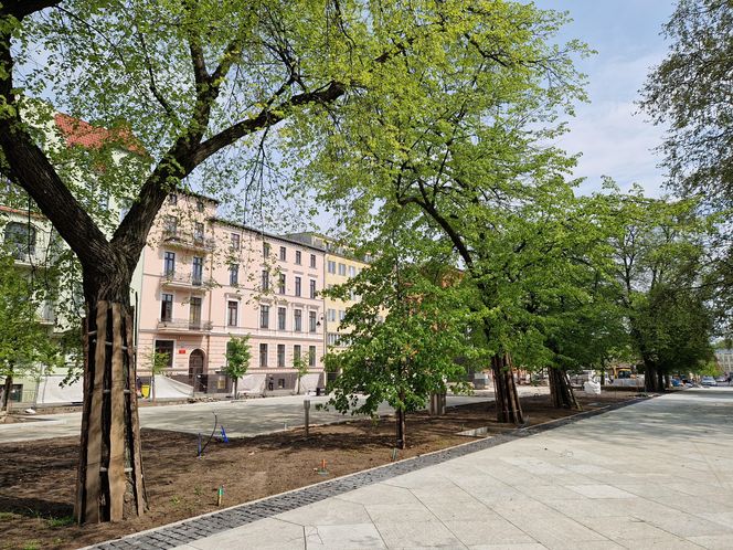 Tak teraz wygląda plac Wolności w Bydgoszczy. Powrót kwiaciarek ponownie opóźniony