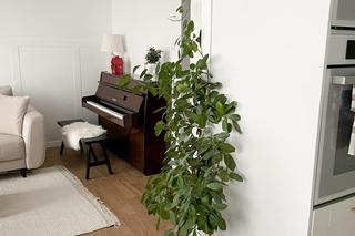 Mieszkanie w Chorzowie przeszło metamorfozę. Zobacz zdjęcia PRZED i PO