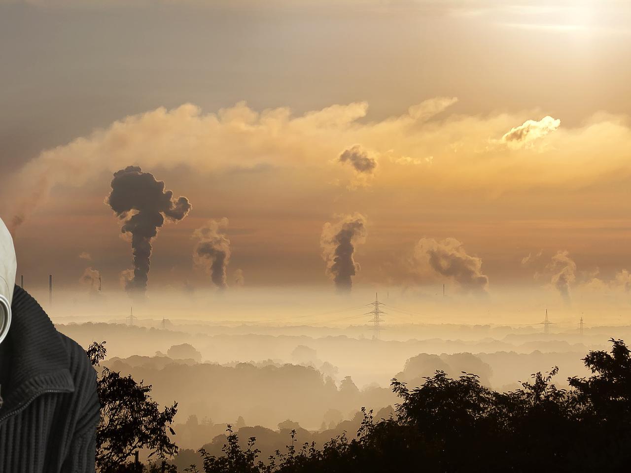 „Polska Antysmogowa”- uczniowie z Katowic radzą jak nie dać się pokonać smogowi. 