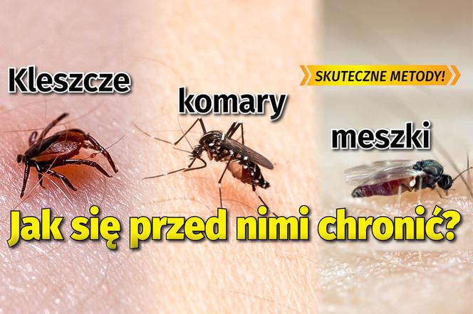 Kleszcze, komary, meszki - jak się przed nimi chronić?
