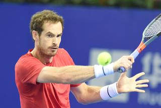 Tenis: Murray – Copil grają w Antwerpii. Kursy, typy