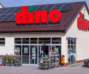 LEGO za mniej, niż 10 zł w Dino! Promocja na Dzień Dziecka