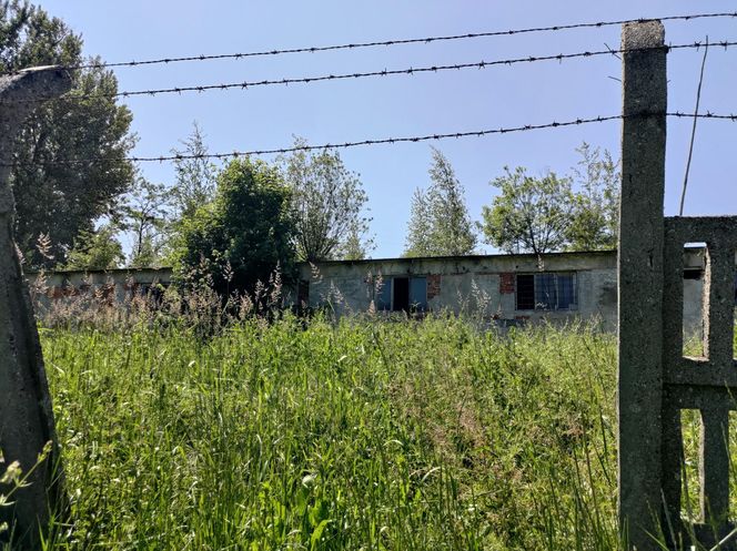 Kobieta zastrzelona na parkingu przy szkole. Znaleziono też ciało jej męża