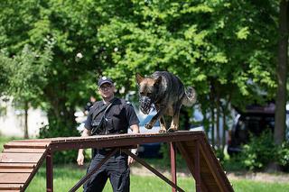 Turniej psów policyjnych w Zaczerniu koło Rzeszowa