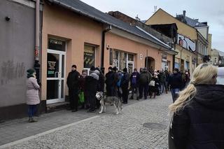 Tłusty Czwartek 2024 w Kielcach