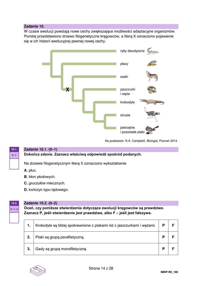 MATURA BIOLOGIA ROZSZERZONA FORMUŁA 2024