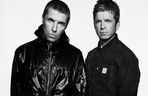 Oasis