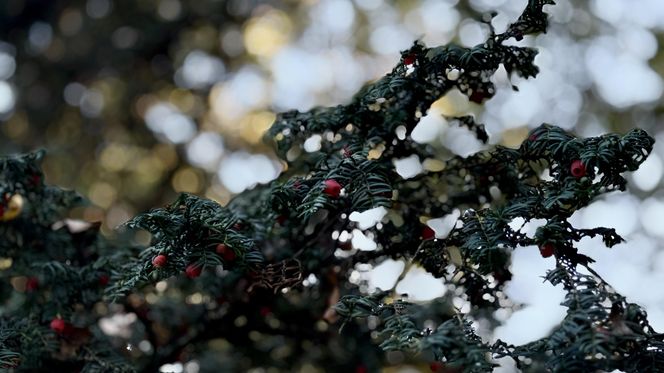 Jesień w Polsce 2025