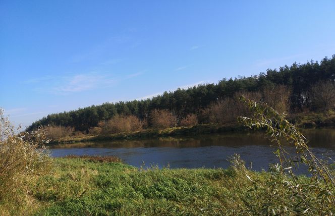 Powiat łomżyński