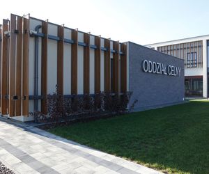 Efekt cegły na elewacji? Jakie materiały elewacyjne imitują mur ceglany?