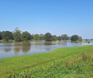 Monitorują i pakują worki z piaskiem. Powiat górowski przygląda się Odrze