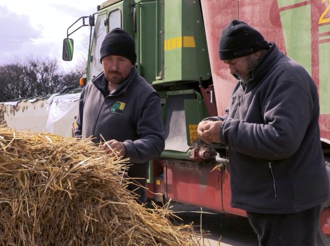 Rolnicy. Podlasie. Gospodarstwo Tomka z Pokaniewa
