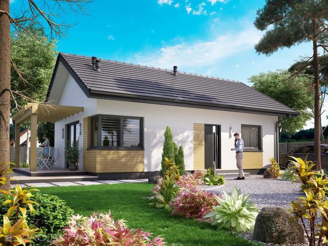 Projekty domów drewnianych