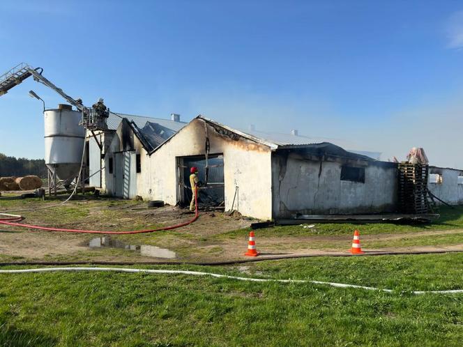 Pożar kurników w Krynicy [20.04.23]