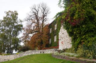 Oto najlepsze miejsca na randkę w Krakowie!