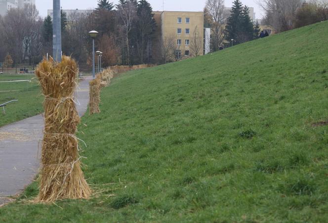 12-latek roztrzaskał się o ławkę. Urzędnicy reagują po tragicznej śmierci chłopca