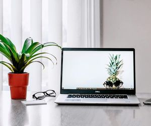 Jaki laptop kupić? Sprawdź, na co zwrócić uwagę i nie przepłacaj!