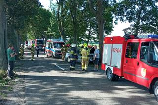 Samochód wbił się w drzewo niedaleko Strzelec Krajeńskich. Kierowca cudem przeżył!