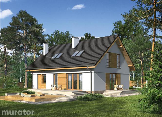 Projekty domów dla dużej rodziny