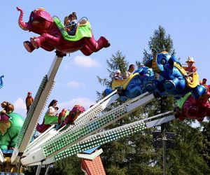 10. urodziny Julinek Park pod Warszawą