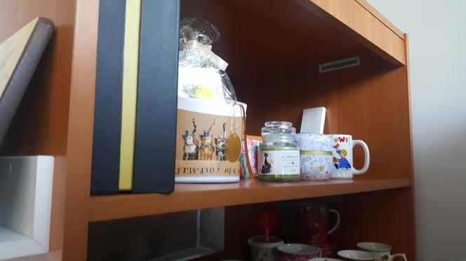 Charity Shop, czyli sklep charytatywny w Sosnowcu