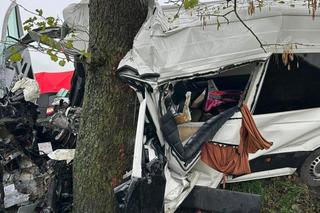 Lubelskie: Zginęły trzy osoby, w tym 6-latka. Kierowcy busa postawiono zarzuty 