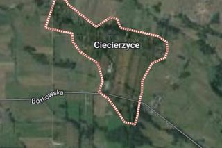 Ciecierzyce