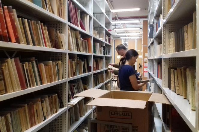 Biblioteka Uniwersytecka UJK w Kielcach - książki z USA
