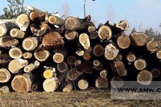 Agencja Mienia Wojskowego ogłosiła przetarg w Olsztynie. Co można kupić? [ZDJĘCIA]