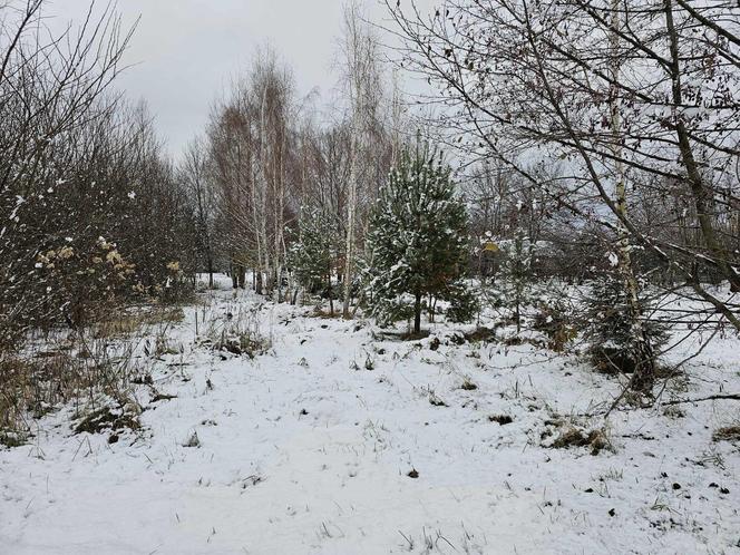 Zima przyszła na Podkarpacie w listopadzie