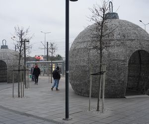 W Olsztynie pojawiły się pierwsze ozdoby bożonarodzeniowe. Gdzie można je podziwiać?